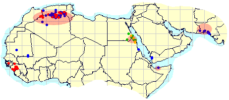 3 mars. Maturation des essaims en Afrique du nord-ouest