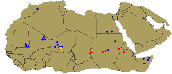 5 juillet. Des bandes larvaires commencent à se former au Darfour dans le Soudan