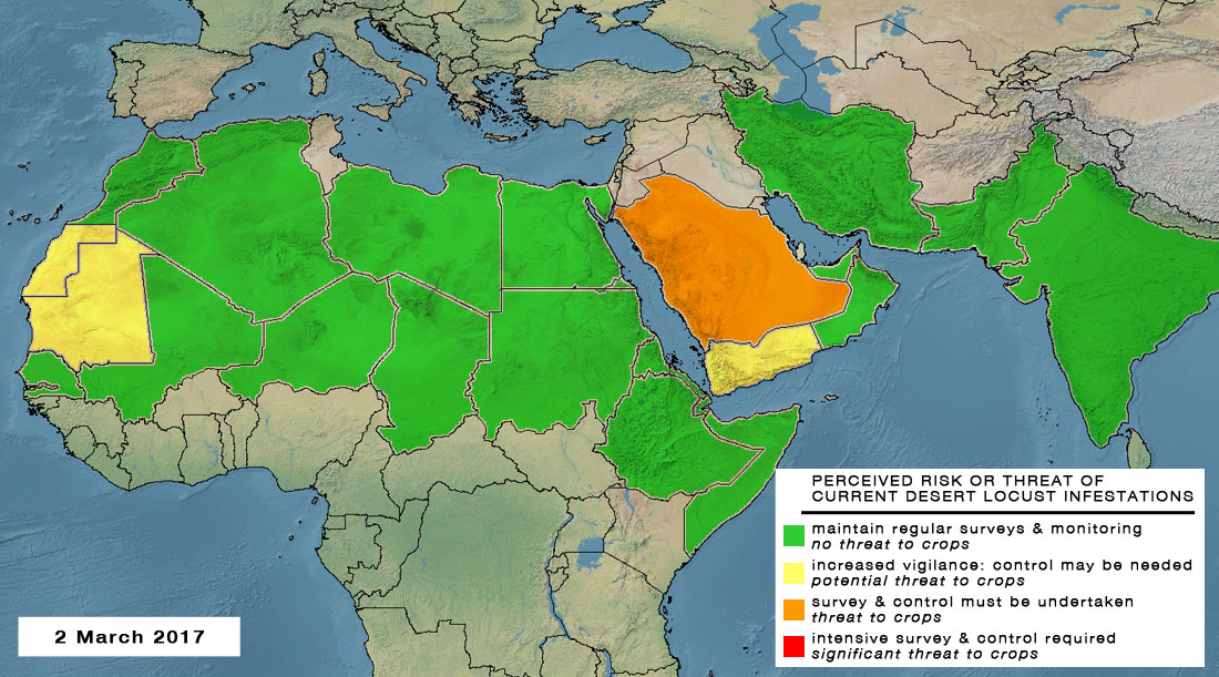 2 March. Risk and threat to crops decline as Desert Locust situation improves