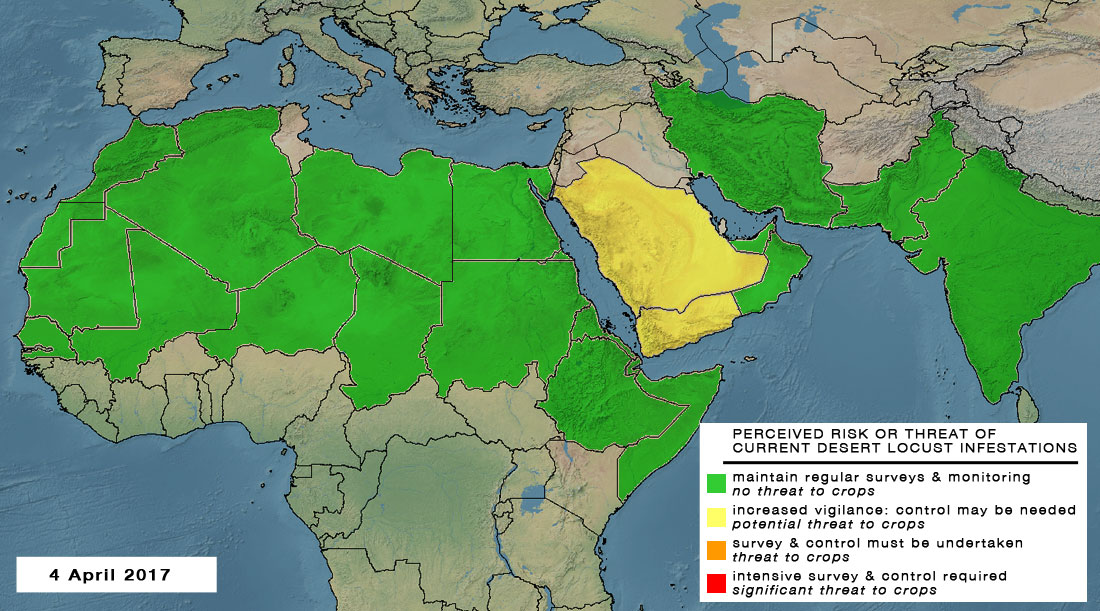 4 April. Vigilance should be maintained in spring breeding areas of Arabia