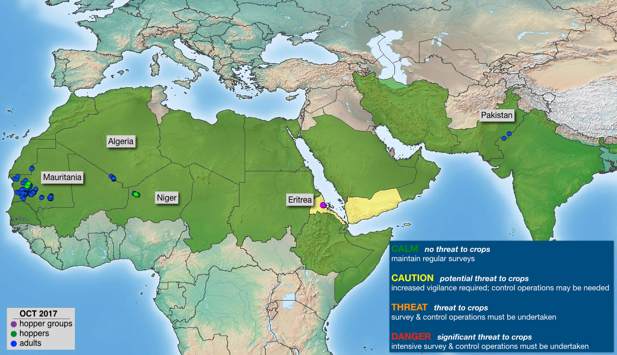 3 November. Vigilance required in winter breeding areas of Eritrea and Yemen