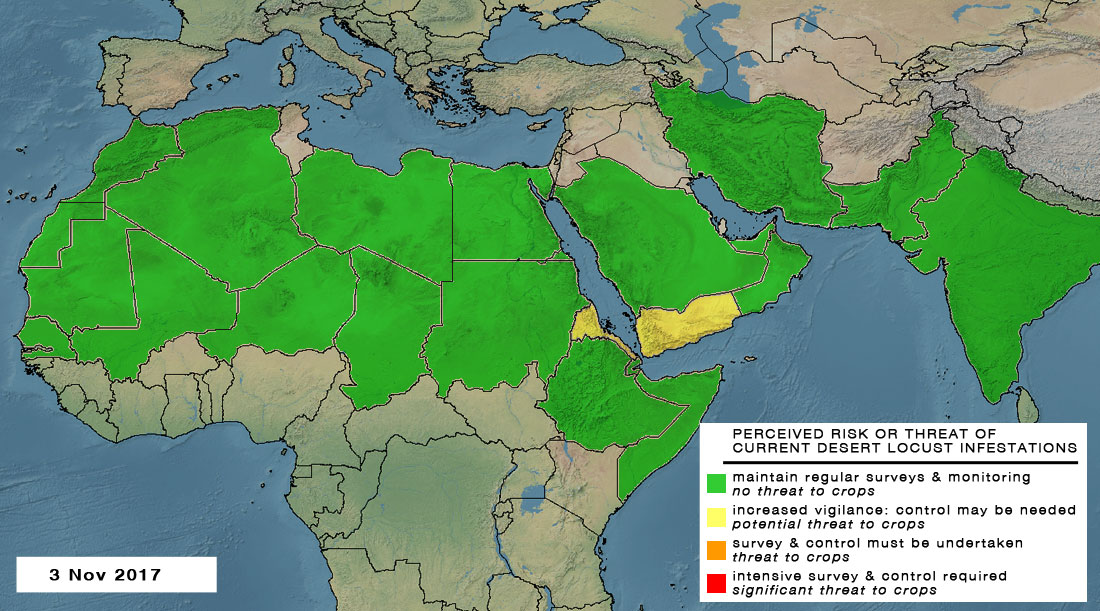 3 novembre. Vigilance requise dans les zones de reproduction hivernale de l’Érythrée et du Yémen