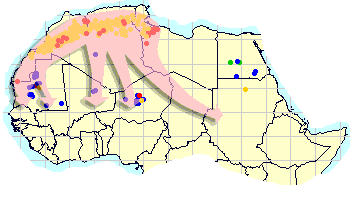 14 juin. Les criquets forment des groupes en Afrique du nord-ouest et des essaims en Mauritanie