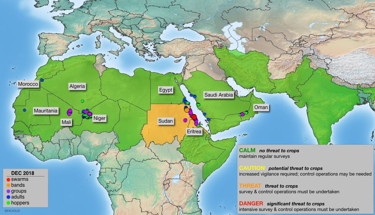 9 January. Outbreak develops in Sudan and Eritrea