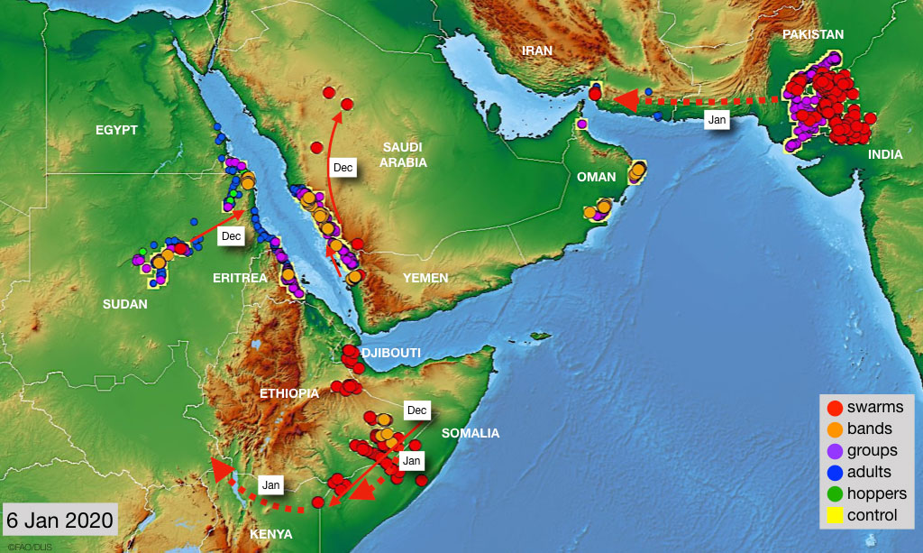 6 January. Dangerous situation in Horn of Africa and threatening along both sides of the Red Sea
