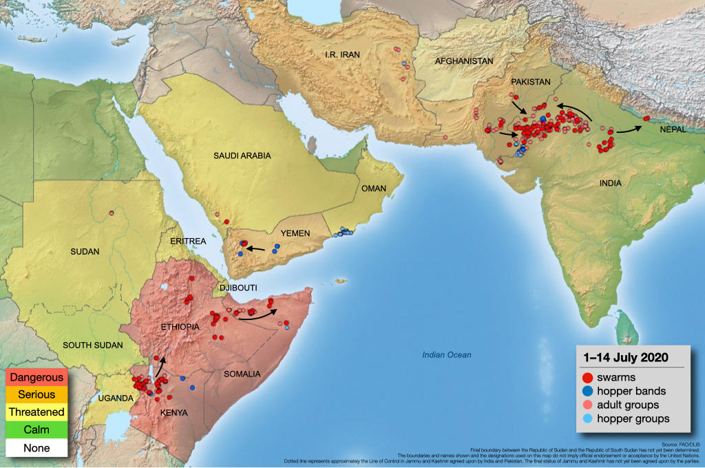 13 July. Risk of swarm migration from Horn of Africa to Indo-Pakistan increases