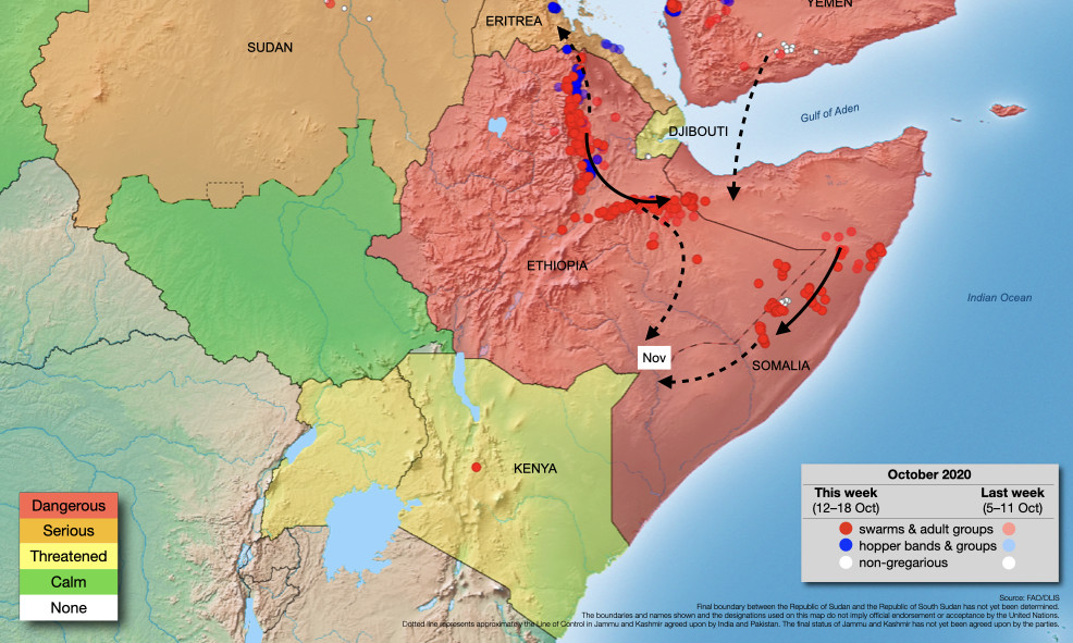 19 October. Swarms continue in Ethiopia and Somalia