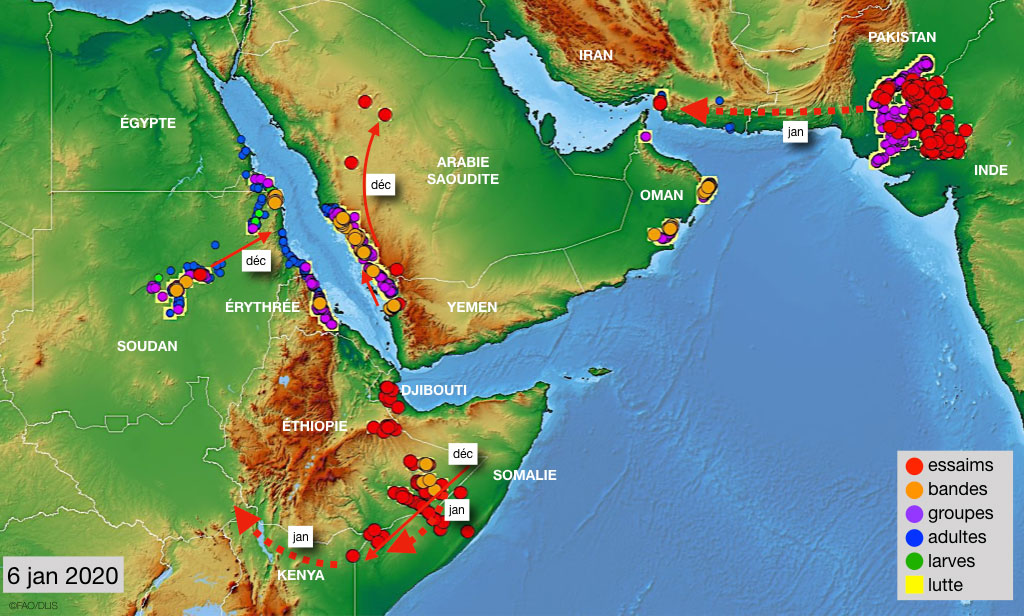6 janvier. Situation dangereuse dans la Corne de l’Afrique et menaçante le long des deux côtés de la mer Rouge