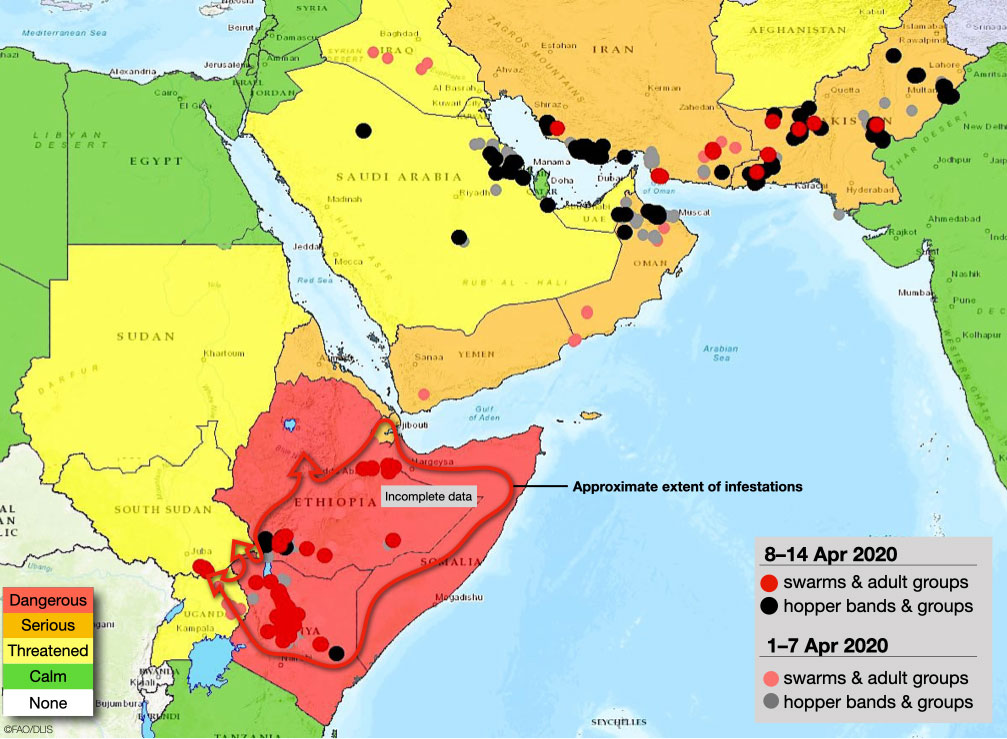 14 avril. Des essaims effectuent leur maturation en Afrique de l’est