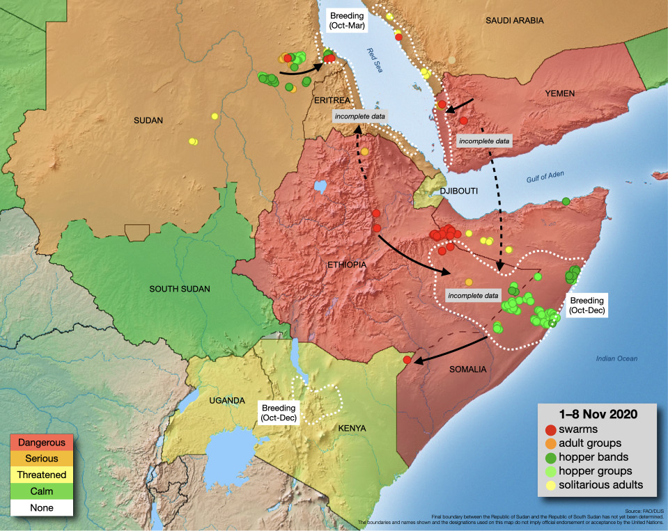 9 novembre. Formation de bandes larvaires dans l’est de l’Ethiopie et dans le centre de la Somalie