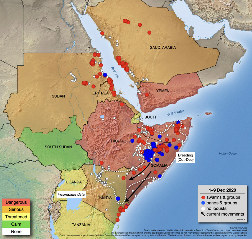 10 décembre. Déplacement probable d’essaims vers le sud, jusqu’au Kenya