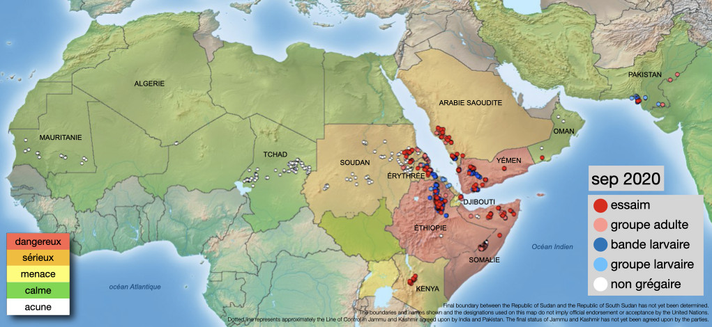 5 octobre. Reproduction d’essaims dans le nord-est de l’Afrique et au Yémen