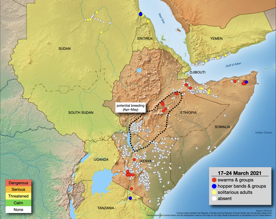 25 March. Swarms continue to decline in Horn of Africa