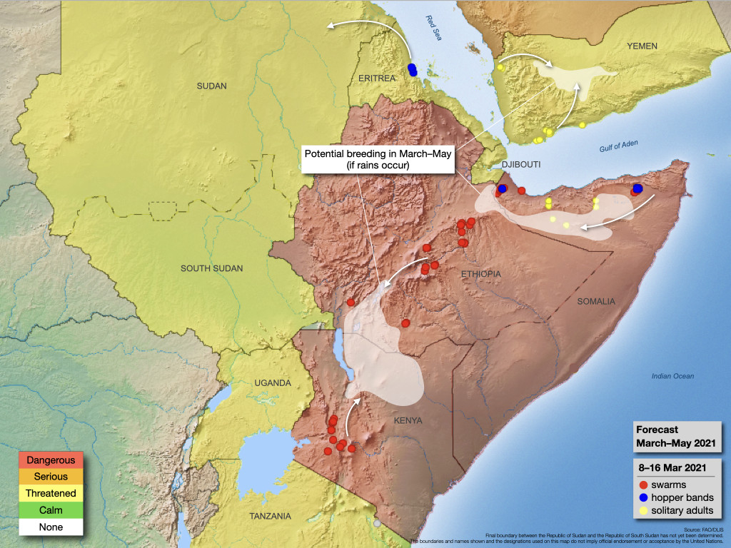 16 mars. Les essaims déclinent au Kenya et en Éthiopie