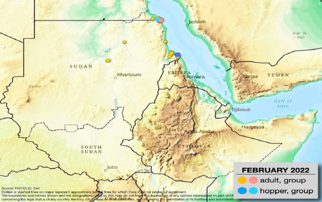 2 March 2022. Upsurge ends in the horn of Africa