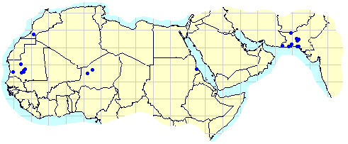 3 April 2002. Calm situation continues; eastern Arabia rains