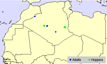 5 June. Local breeding and control in Algeria