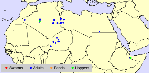 3 July. Local breeding and control in Algeria and Libya