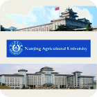 Nanjing University of Agriculture