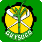 Guysuco