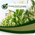 Western Seed Company