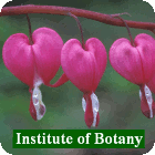 Institute of Botany