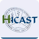 Hicast