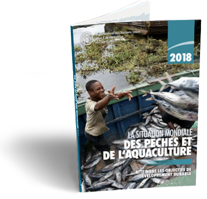 La situation mondiale des pêches et de l’aquaculture 2018