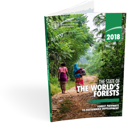 The State of the World's Forests