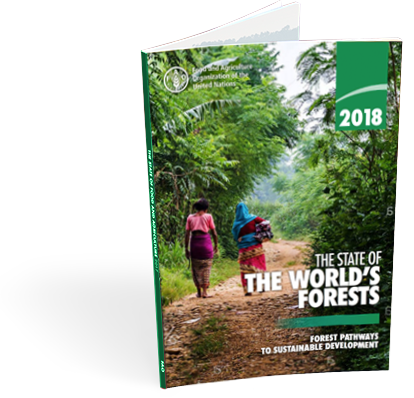 The State of the World's Forests 2018