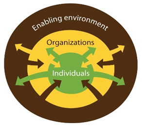 Analyse Organizational Performance, FAO Capacity Development