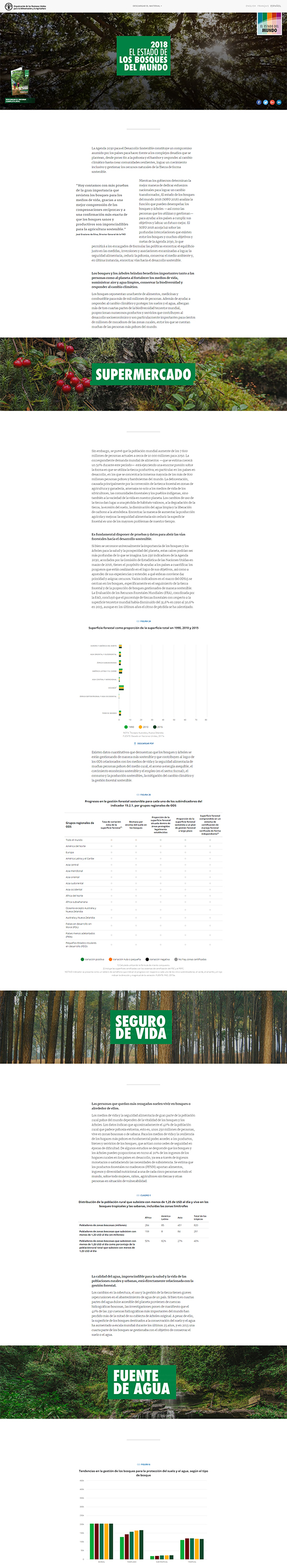 Digital Report