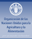 sitio web FAO
