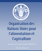 site web FAO