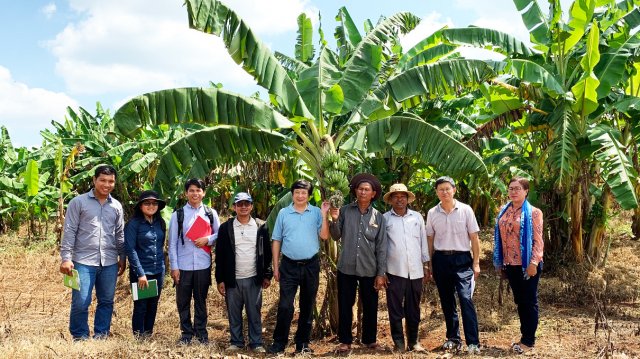 South-South Cooperation boosts expertise to protect plant health and livelihoods in Cambodia and Sri Lanka - Vimarsana News