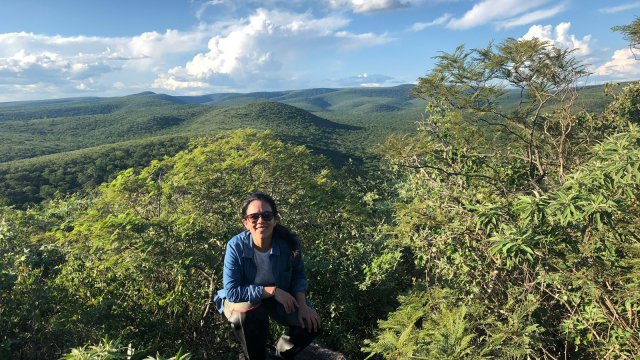 Connecting the dots in forest monitoring in Paraguay - Vimarsana News