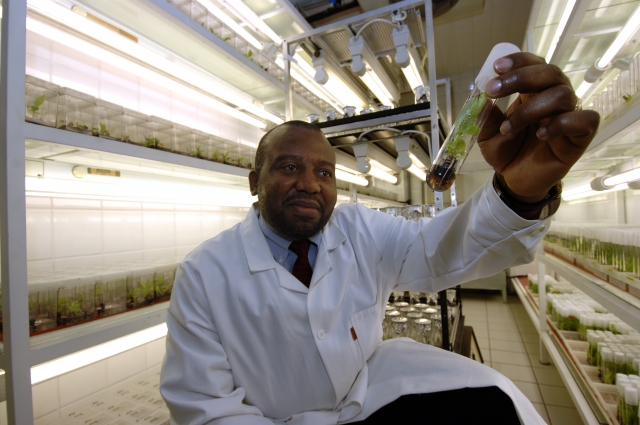 Five ways nuclear technology is improving agriculture and food security - Vimarsana News
