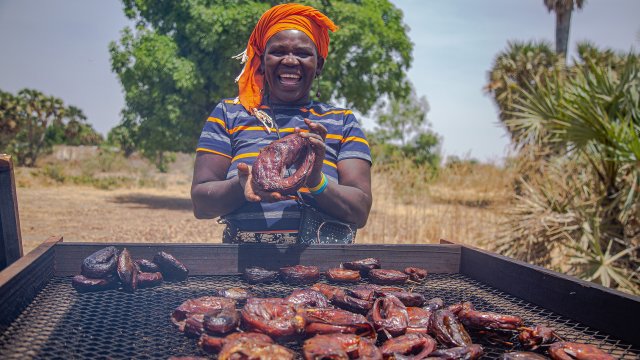 Fish smoking ovens help internally displaced fish processors in Cameroon start again - Vimarsana News
