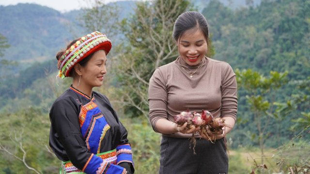 Bringing cultures together on the farms and mountains of Viet Nam - Vimarsana News