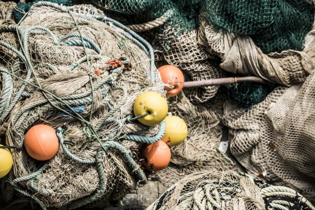 Four reasons illegal, unreported and unregulated (IUU) fishing affects us and what we can do about it - Vimarsana News