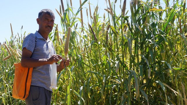 Digging deeper into the arid terrain of the world's largest landlocked country | FAO Stories | Food and Agriculture Organization of the United Nations - Vimarsana News