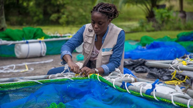 Increased fish demand in Gabon offers youth an outlet in aquaculture - Vimarsana News