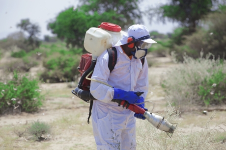 Insecticides-fongicides, Des méthodes naturelles pour protéger les plantes  contre les ravageurs - La Voix Du Paysan