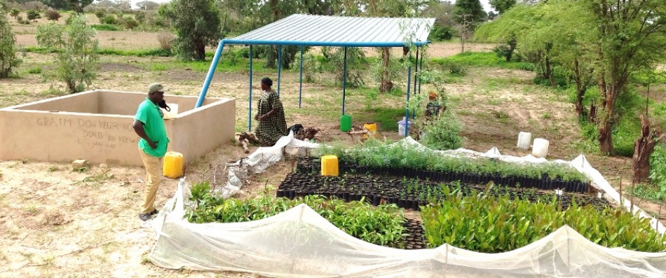 Gardes de pluie extra-durables sur ruban en verre Senegal