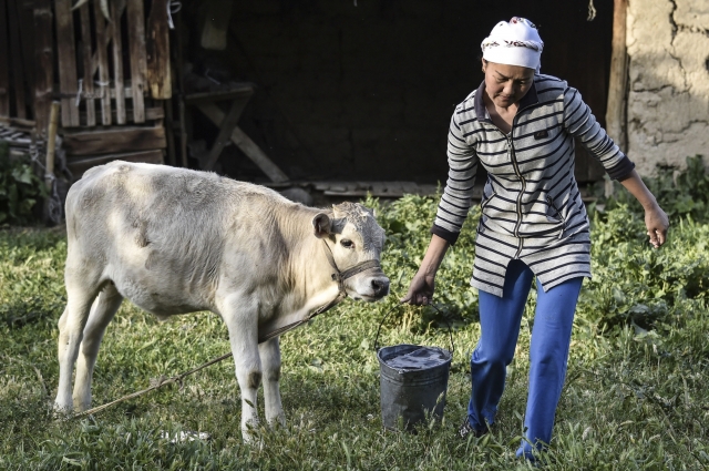 Integrating social protection and agriculture to improve diets in Kyrgyzstan - Vimarsana News