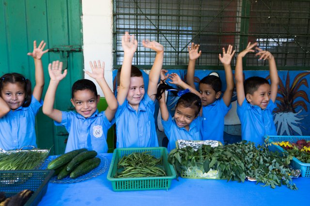 Nutrition and education: a winning combination - Vimarsana News