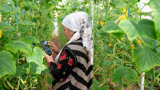Uzbek village becomes digital - Vimarsana News