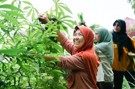 Agricultural transformation starts in the backyard: Family farming offers  self-sufficiency and a return to nature in Indonesia | FAO