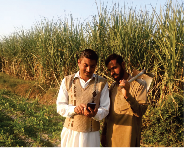 A hybrid system for monitoring and evaluation of Farmer Field Schools in Pakistan - Vimarsana News