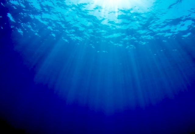 Shedding light on the ocean's "twilight zone" | FAO Stories | Food and Agriculture Organization of the United Nations - Vimarsana News